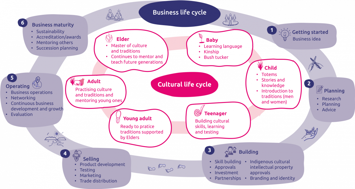 Business life cycle