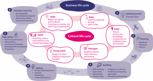 Business life cycle