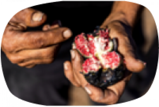 What is Aboriginal cultural tourism?
