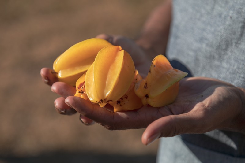 Local star fruit