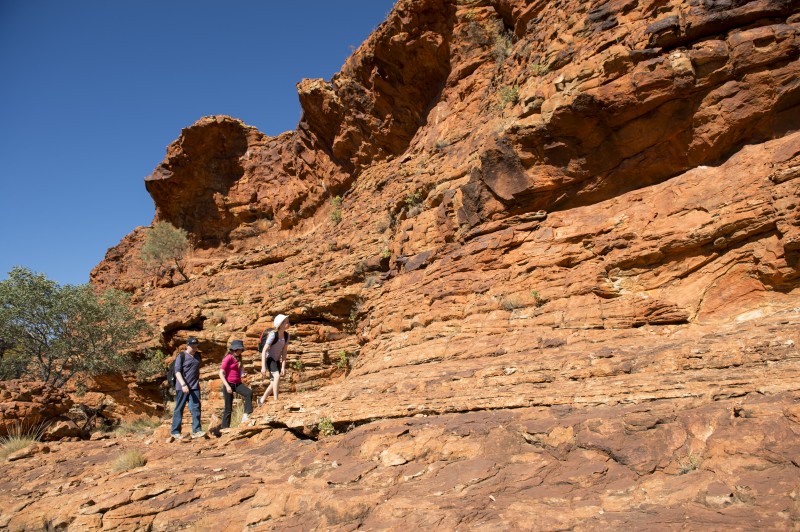 Group of people hiking