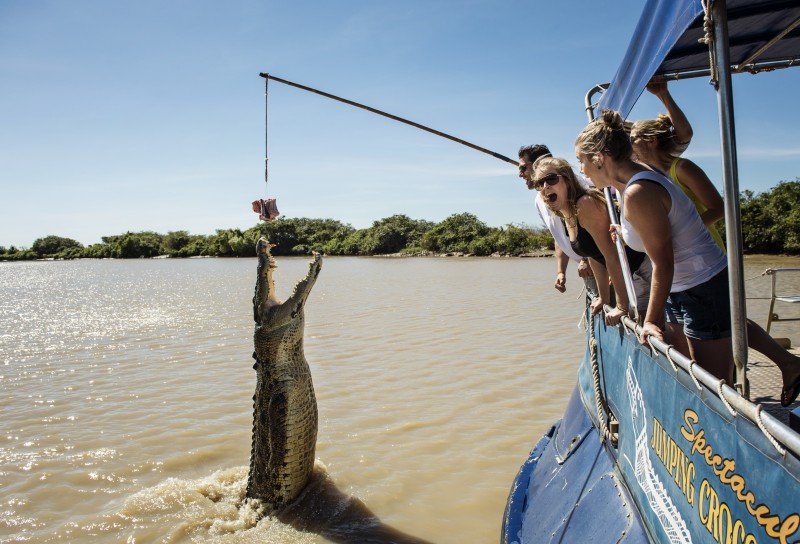 Jumping Crocodile Cruise