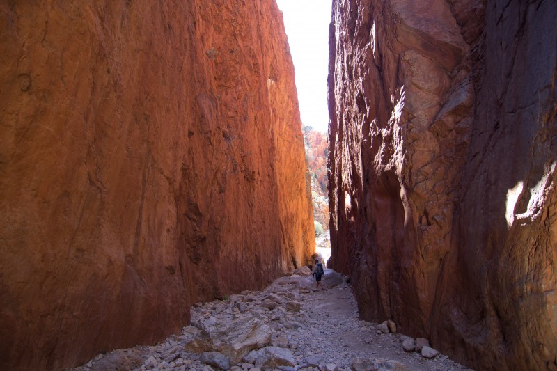 Hiking the Larapinta Trail