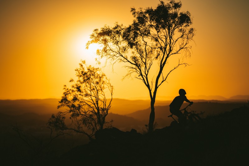 image of sunset with silhoutte of tree and MBT rider