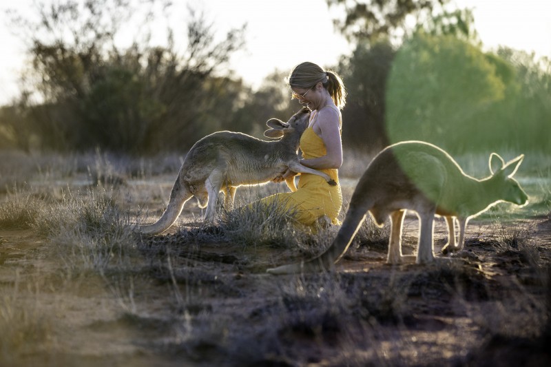 Girl pets a kangaroo at the Kangaroo Sanctuary in Alice Springs