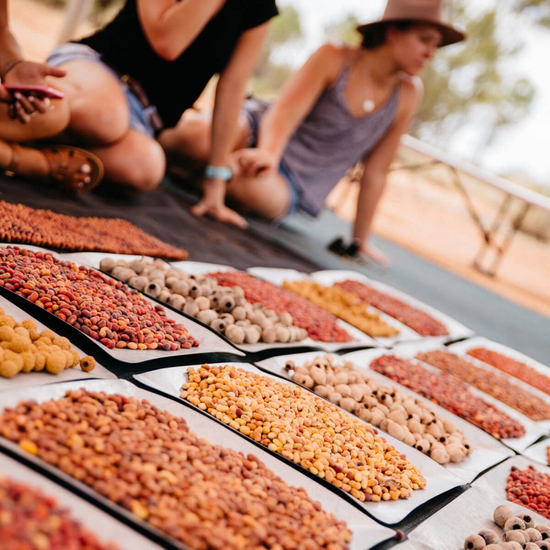 trays of bush seeds 