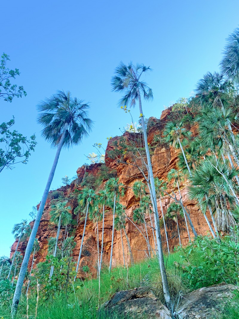 Aboriginal Tourism Development in NT Parks and Reserves Grant Program